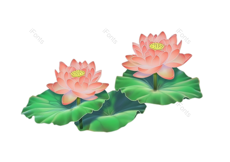 叶子图片,装饰元素,夏至PNG,元素免抠素材